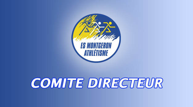 You are currently viewing Comité Directeur de novembre 2012