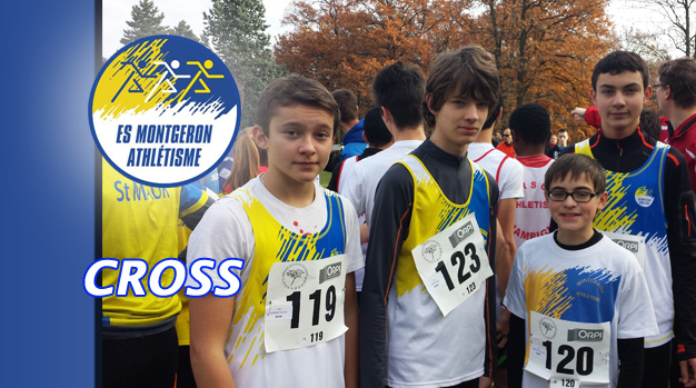 You are currently viewing RÉSULTATS DU CROSS DE SUCY-EN-BRIE DE 2013