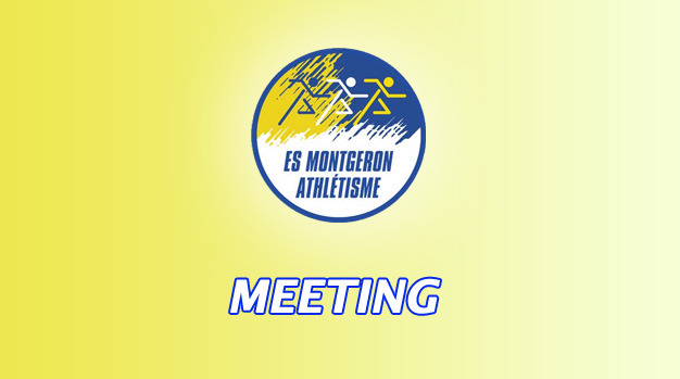 Lire la suite à propos de l’article [MAJ] 30E MEETING 2014 MONTGERON, LES PREMIERES INFOS