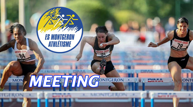 You are currently viewing TOUT CE QU’IL FAUT SAVOIR SUR LE MEETING  2013